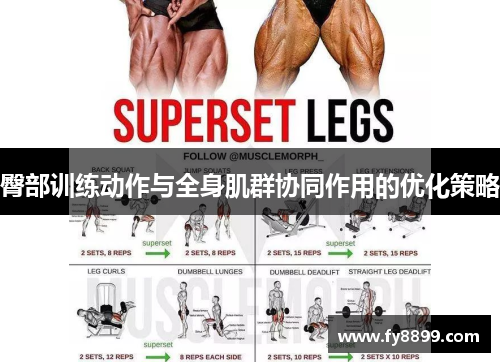 臀部训练动作与全身肌群协同作用的优化策略